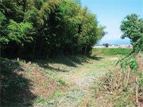 浜崎城跡