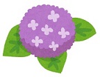 村の花アジサイ