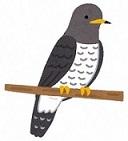 村の鳥カッコウ