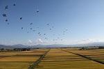 田園風景写真